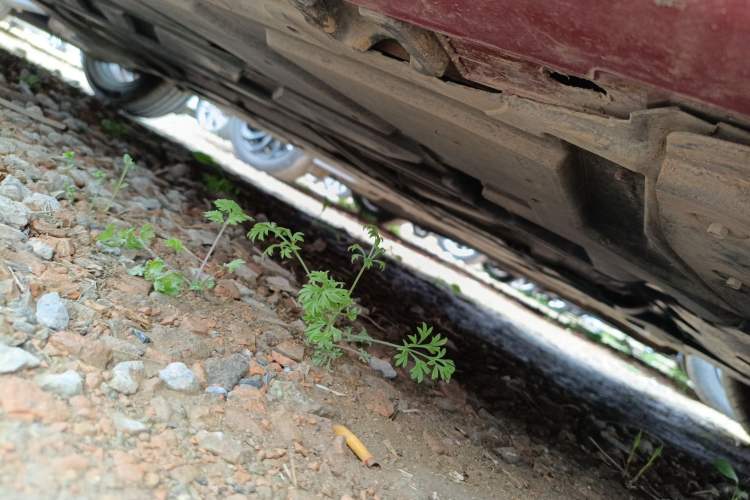 Used Mercedes-Benz A-Class 2023 A 200 L Fashion Model Chassis Front Right