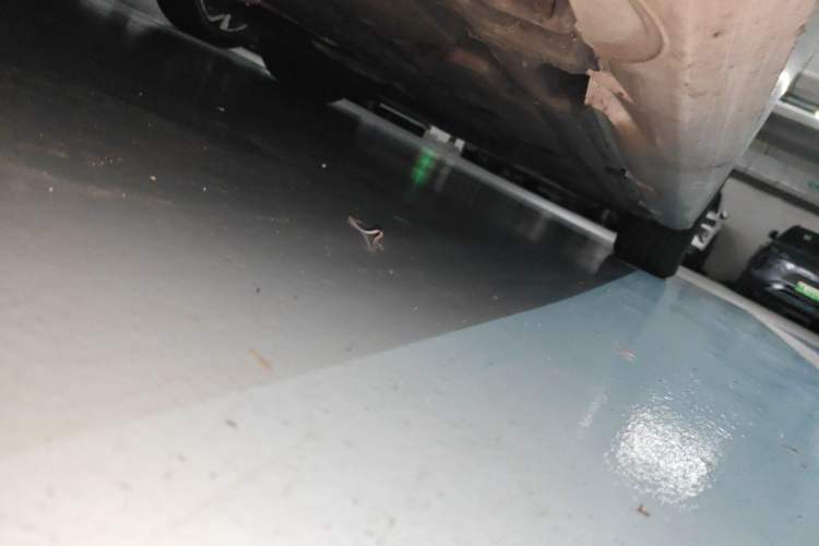 Used Mercedes-Benz A-Class 2023 A 200 L Fashion Model Chassis Rear Right