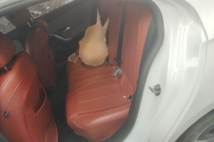 Used Mercedes-Benz A-Class 2023 A 200 L Dynamic Model Left Rear Seat