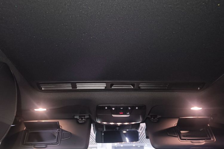 Used Mercedes-Benz AMG GT 2019 AMG GT 50 four-door sports car Headliner