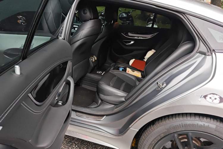 Used Mercedes-Benz AMG GT 2019 AMG GT 50 four-door sports car Left Rear Seat