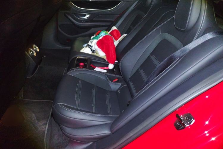Used Mercedes-Benz AMG GT  Left Rear Seat
