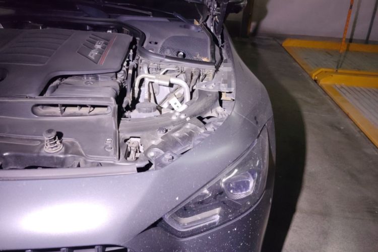 Used Mercedes-Benz AMG GT 2019 AMG GT 50 four-door sports car Engine Bay Left