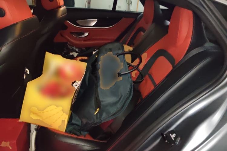 Used Mercedes-Benz AMG GT 2019 AMG GT 50 four-door sports car Left Rear Seat