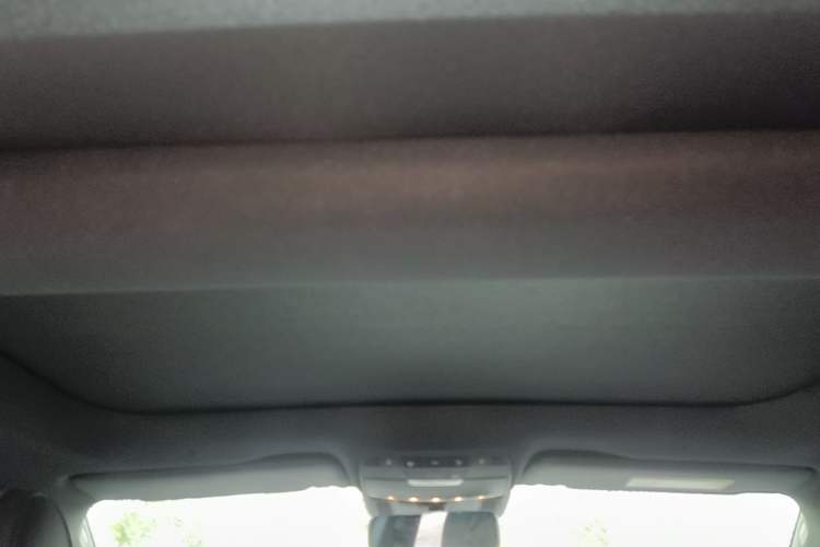 Used Mercedes-Benz AMG GT 2020 AMG GT 50 Four-Door Coupe Headliner