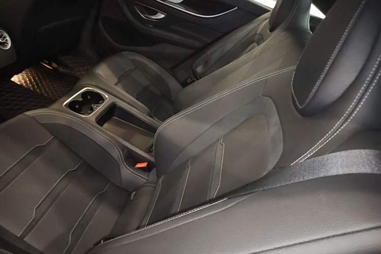 Used Mercedes-Benz AMG GT 2020 AMG GT 50 Four-Door Coupe Left Rear Seat