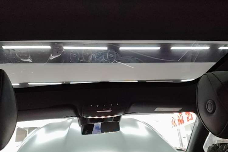 Used Mercedes-Benz AMG GT 2020 AMG GT 50 Four-Door Coupe Headliner