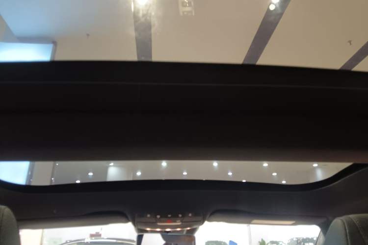 Used Mercedes-Benz AMG GT 2020 AMG GT 50 Four-Door Coupe Headliner