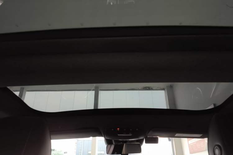 Used Mercedes-Benz AMG GT 2020 AMG GT 50 Four-Door Coupe Headliner