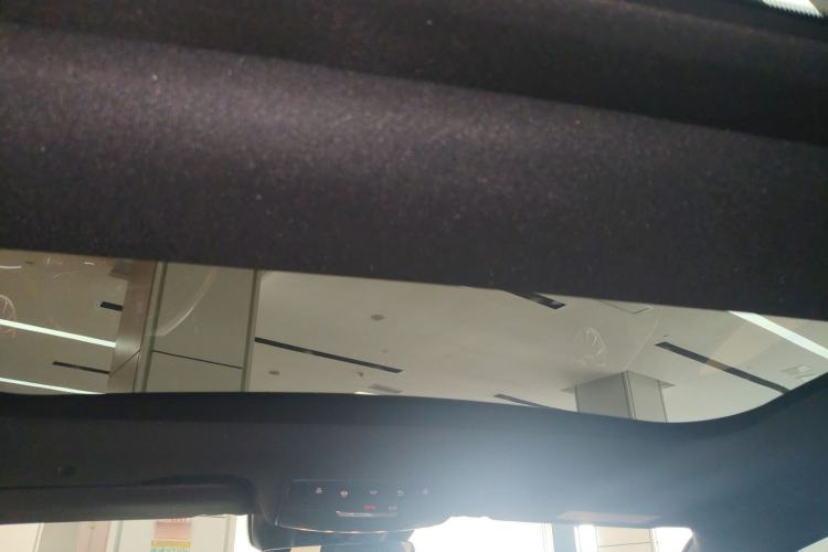 Used Mercedes-Benz AMG GT 2020 AMG GT 50 Four-Door Coupe Headliner