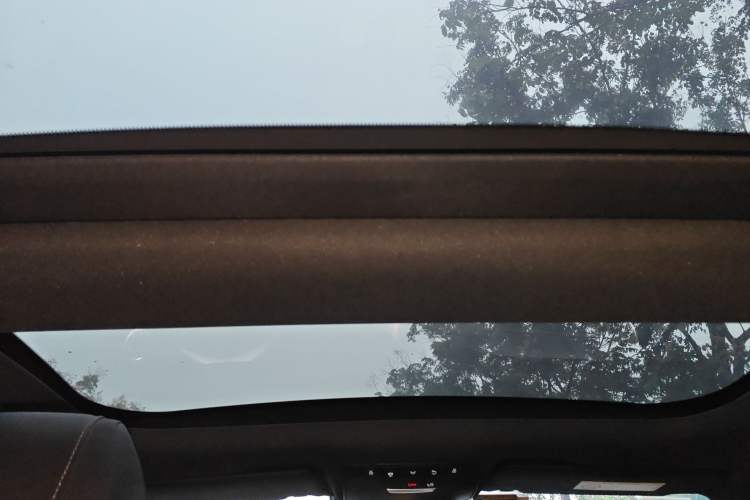 Used Mercedes-Benz AMG GT 2020 AMG GT 50 Four-Door Coupe Headliner