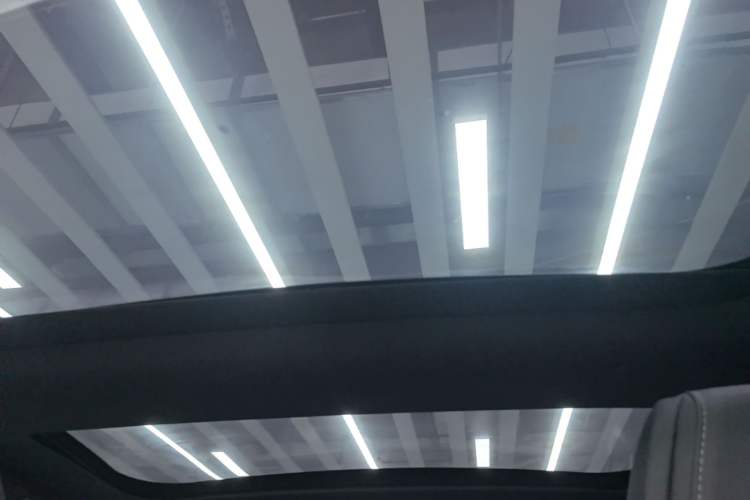 Used Mercedes-Benz AMG GT 2020 AMG GT 50 Four-Door Coupe Headliner
