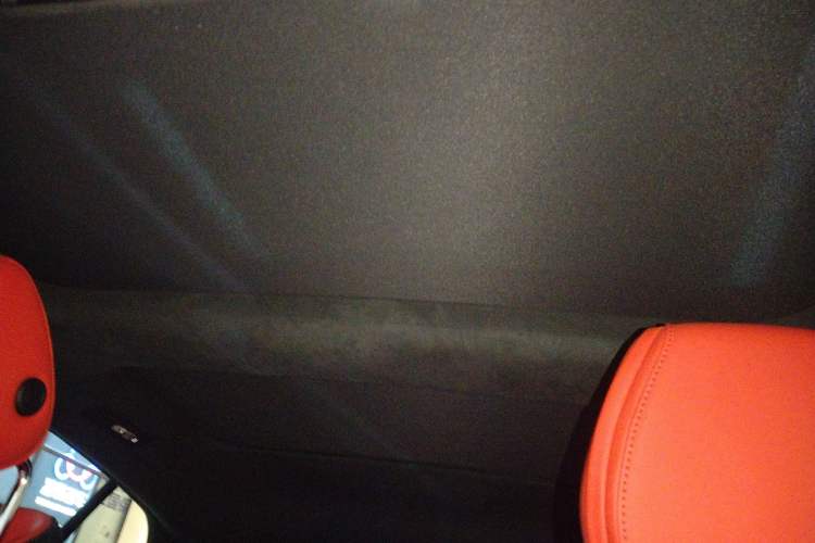 Used Mercedes-Benz AMG GT 2020 AMG GT 50 Four-Door Coupe Headliner