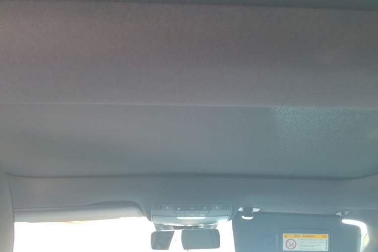 Used Mercedes-Benz AMG GT 2020 AMG GT 50 Four-Door Coupe Headliner