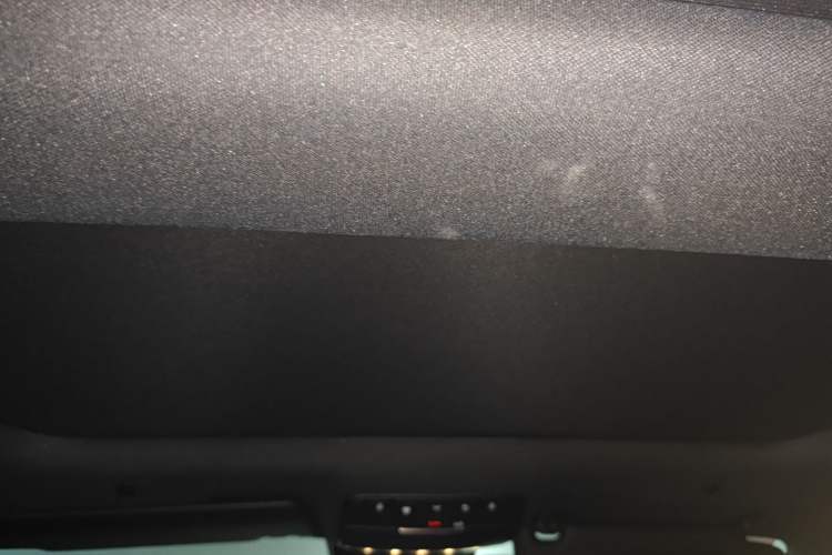 Used Mercedes-Benz AMG GT 2020 AMG GT 50 Four-Door Coupe Headliner