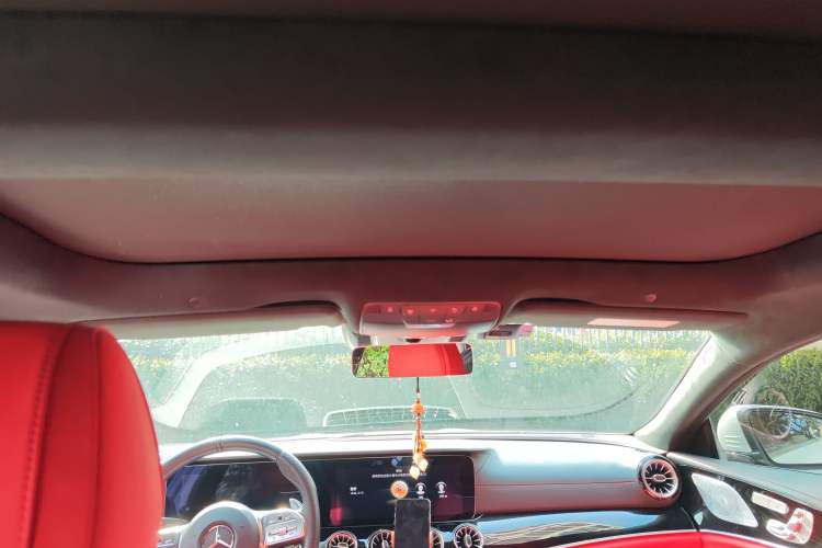 Used Mercedes-Benz AMG GT 2020 AMG GT 50 Four-Door Coupe Headliner