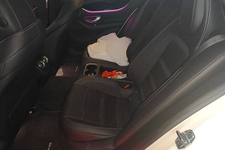 Used Mercedes-Benz AMG GT 2020 AMG GT 50 Four-Door Coupe Left Rear Seat