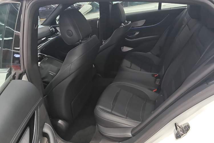 Used Mercedes-Benz AMG GT 2020 AMG GT 50 Four-Door Coupe Left Rear Seat