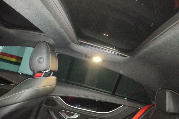 Used Mercedes-Benz AMG GT 2023 AMG GT 50 Four-Door Coupe Headliner