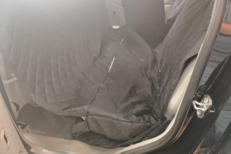 Used Mercedes-Benz B-Class 2009 B 200 Sport Edition Left Rear Seat