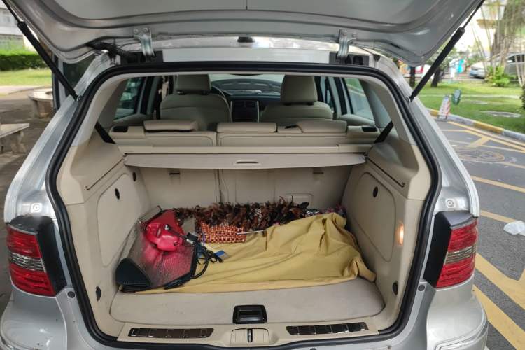 Used Mercedes-Benz B-Class 2009 B 200 Luxury Model Trunk
