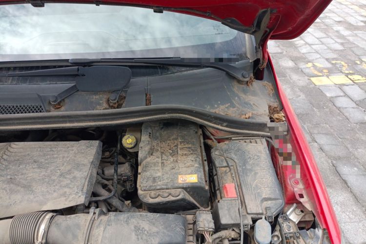 Used Mercedes-Benz B-Class 2012 B 200 Engine Bay Left