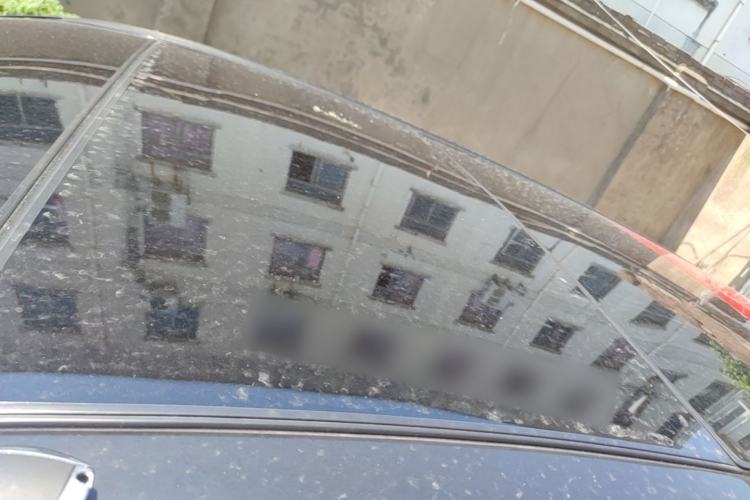 Used Mercedes-Benz B-Class 2015 B 200 Fashion Model Roof