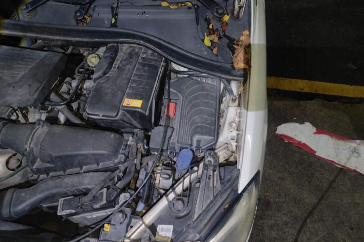 Used Mercedes-Benz B-Class 2015 B 200 Sport Edition Engine Bay Left