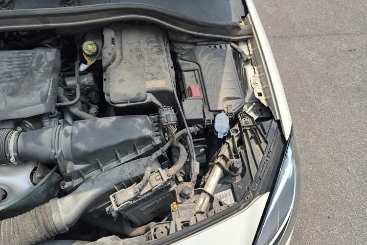 Used Mercedes-Benz B-Class 2015 B 200 Sport Edition Engine Bay Left