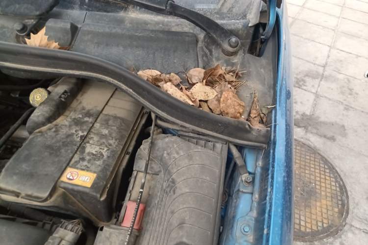 Used Mercedes-Benz B-Class 2017 B 180 Engine Bay Left