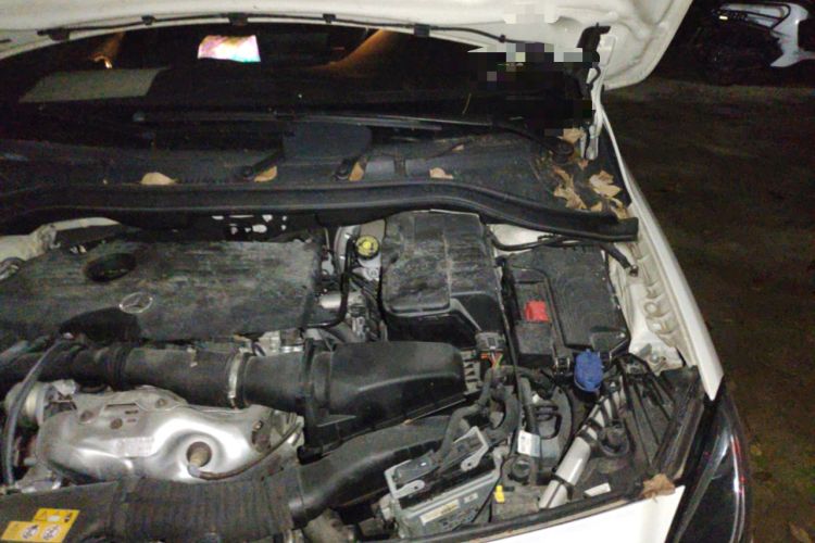 Used Mercedes-Benz B-Class 2018 B 200 Sport Edition Engine Bay Left