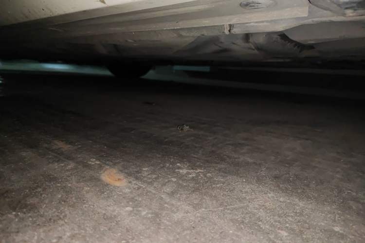 Used Mercedes-Benz B-Class 2019 B 200 Sport Edition Chassis Rear Left