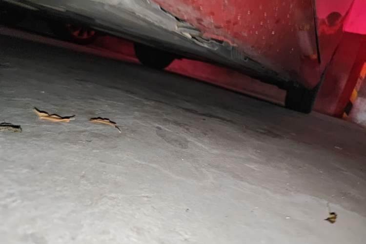 Used Mercedes-Benz B-Class 2020 B 200 Sport Edition Chassis Front Left