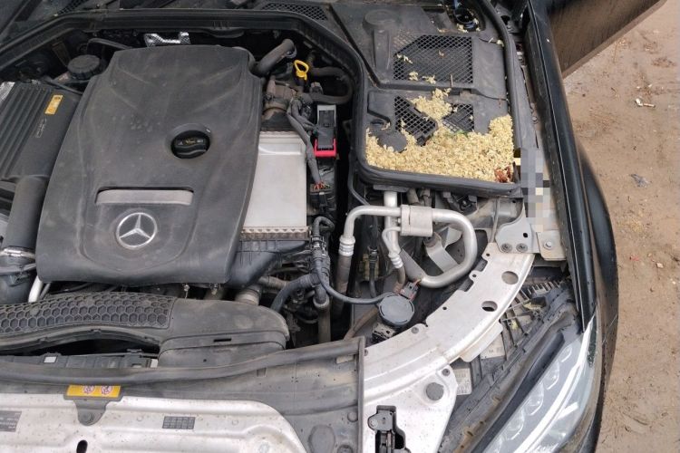 Used Mercedes-Benz C-Class 2015 C 200 L Sport Edition Engine Bay Left