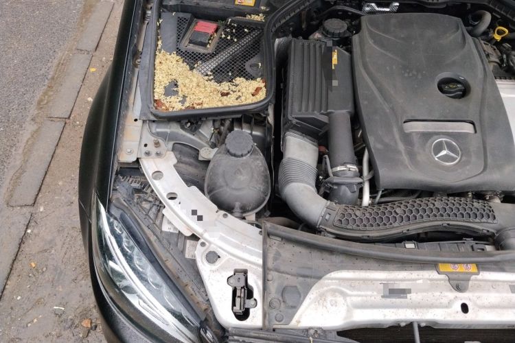 Used Mercedes-Benz C-Class 2015 C 200 L Sport Edition Engine Bay Right