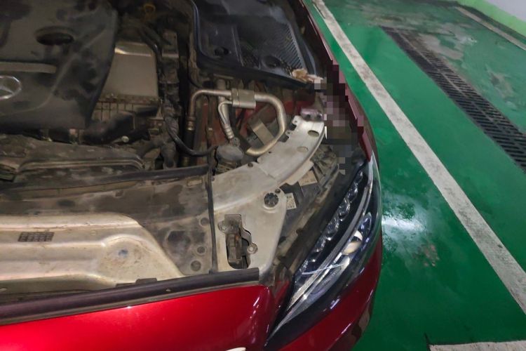 Used Mercedes-Benz C-Class 2015 Revised C 200 L Sport Edition Engine Bay Left