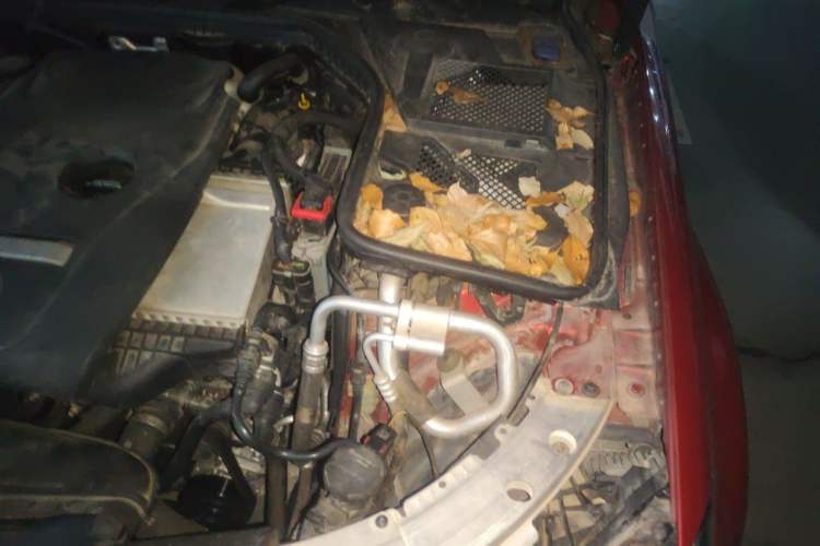 Used Mercedes-Benz C-Class 2015 C 200 L Engine Bay Left