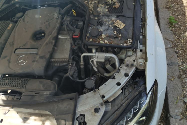 Used Mercedes-Benz C-Class 2015 C 200 L Sport Edition Engine Bay Left