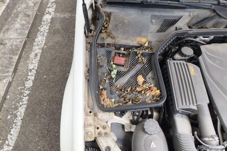 Used Mercedes-Benz C-Class 2015 C 200 L Engine Bay Right