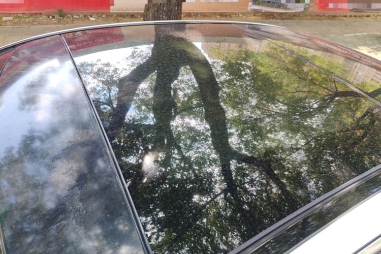 Used Mercedes-Benz C-Class 2015 Facelift C 200 L Roof