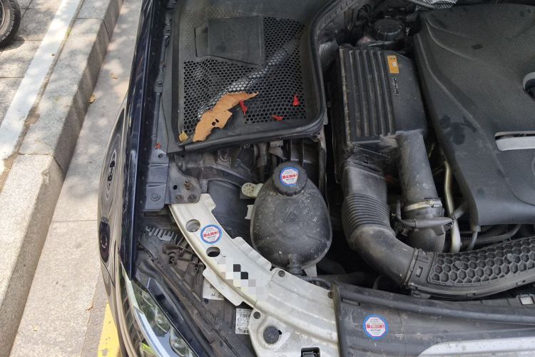 Used Mercedes-Benz C-Class 2016 C 200 L Sport Edition Engine Bay Right