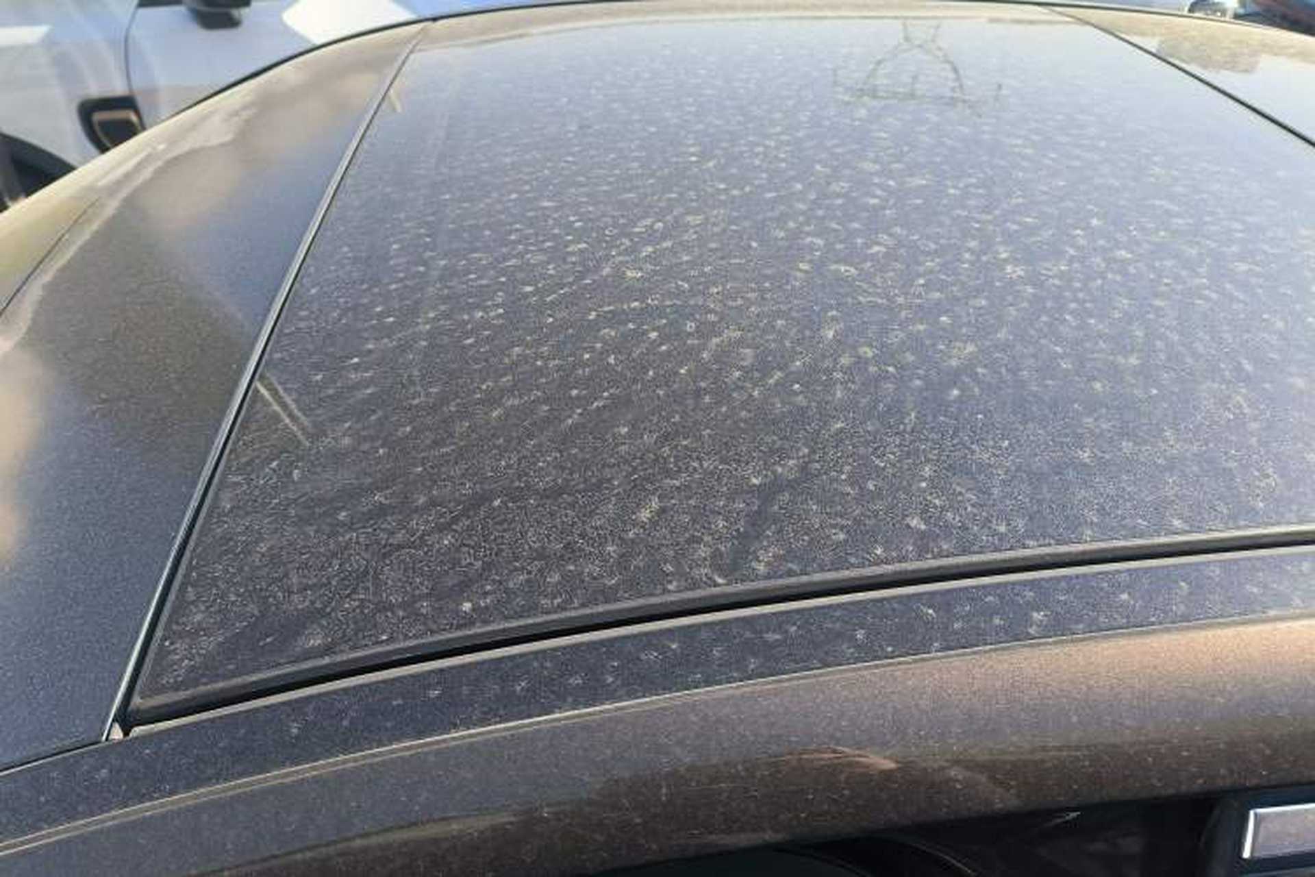 Used Mercedes-Benz C-Class 2016 C 200 L Sport Edition Roof