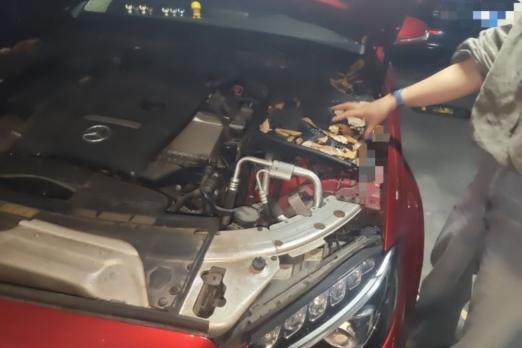Used Mercedes-Benz C-Class 2016 C 180 L Sport Edition Engine Bay Left