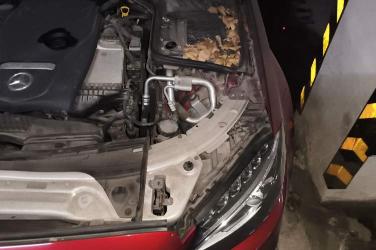 Used Mercedes-Benz C-Class 2016 C 200 L Sport Edition Engine Bay Left