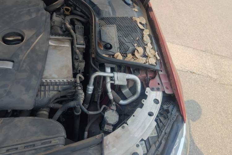 Used Mercedes-Benz C-Class 2016 C 200 L Sport Edition Engine Bay Left