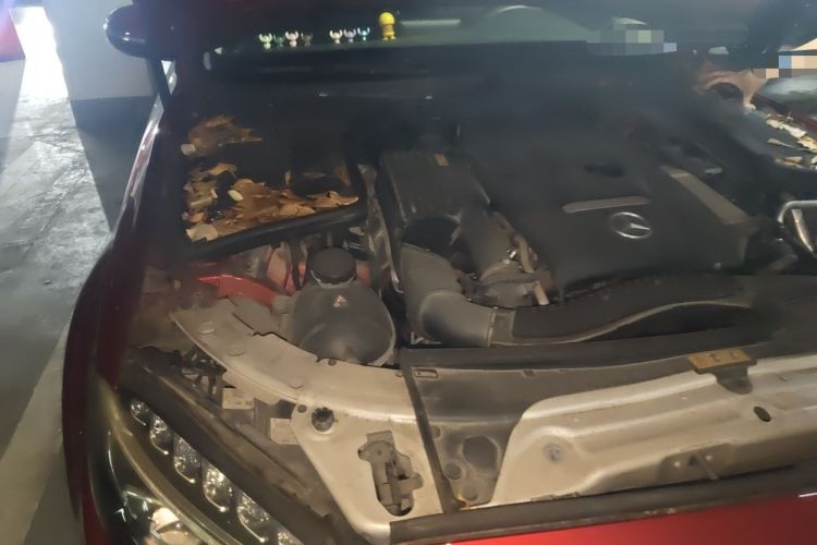 Used Mercedes-Benz C-Class 2016 C 180 L Sport Edition Engine Bay Right