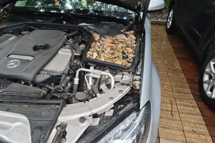 Used Mercedes-Benz C-Class 2016 C 200 L Sport Edition Engine Bay Left