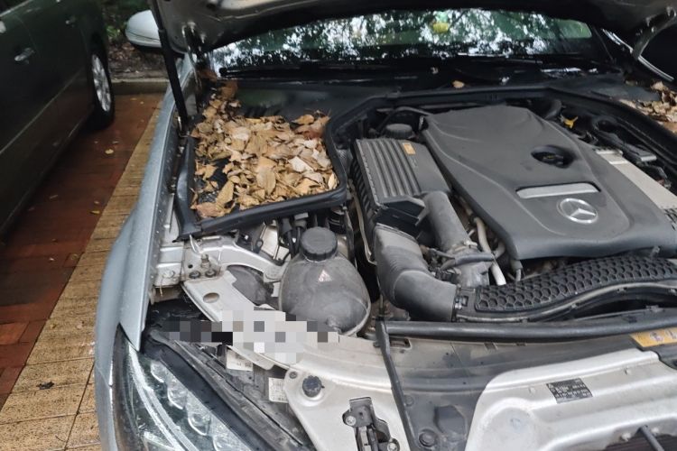 Used Mercedes-Benz C-Class 2016 C 200 L Sport Edition Engine Bay Right