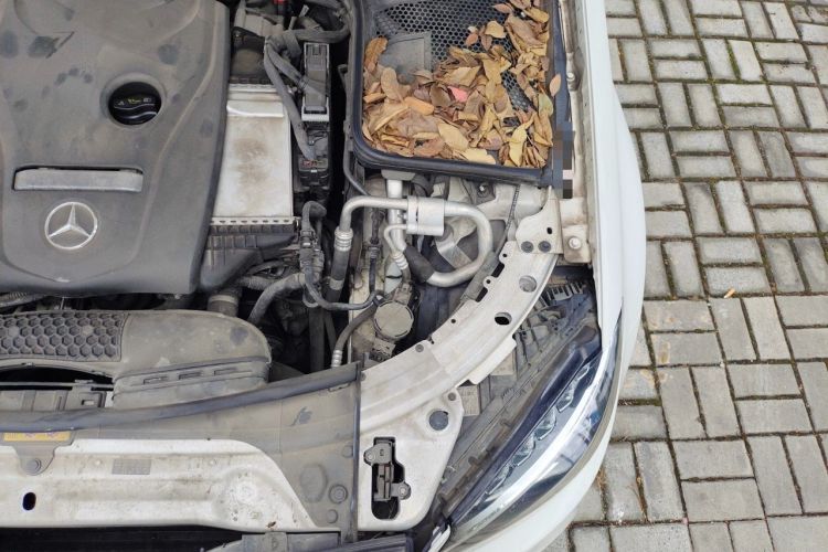 Used Mercedes-Benz C-Class 2016 C 180 L Sport Edition Engine Bay Left