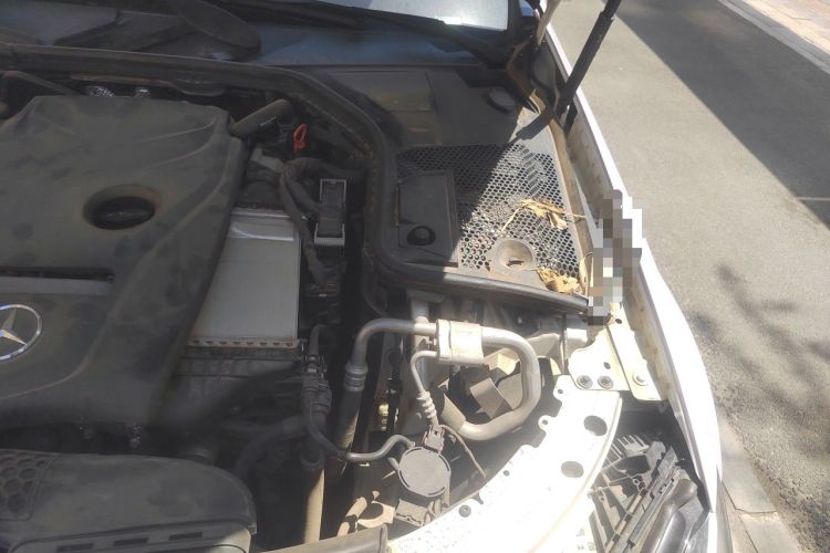 Used Mercedes-Benz C-Class 2016 C 180 L Sport Edition Engine Bay Left